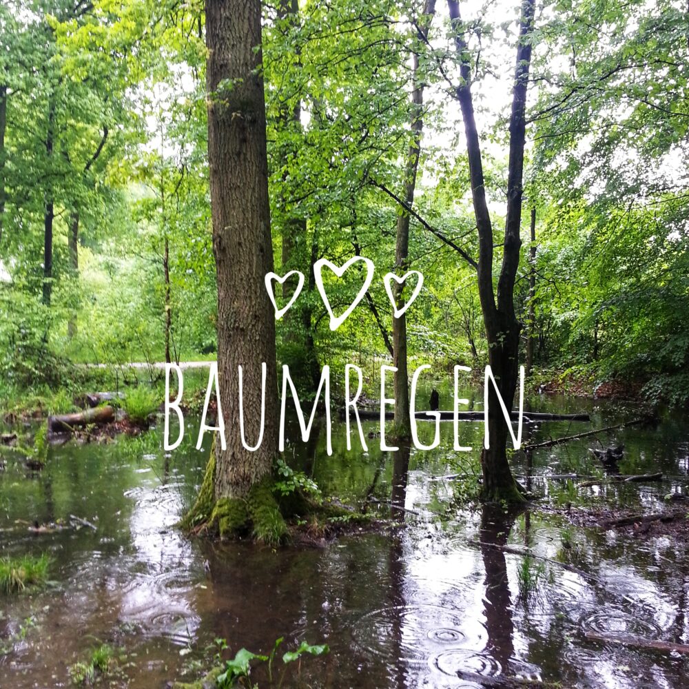 Baumregen